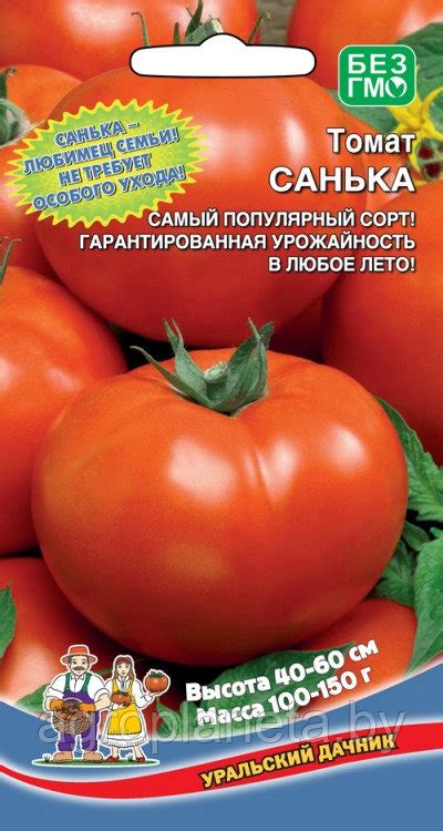 Томат САНЬКА, 20 шт.: семена, семена овощных культур, семенами, семена ...