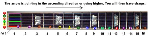 Sharps And Flats The Notes Of The Fretboard Guitar Secrets Online