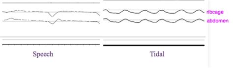 Ch. 10 - Quiz 2 Flashcards | Quizlet 