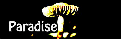 Psilocybe Quebecensis Mushroom Hunting And Identification