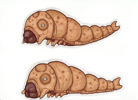 Toho Kaiju Mothra Larva By Fatalwilt On Deviantart