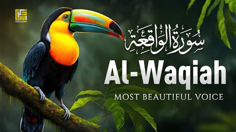 Relax and unwind with most beautiful recitation of Surah Al Waqiah سورة