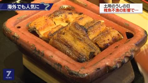 日本「土用丑日」吃鰻魚 全球價格飆得下重本 民視新聞網