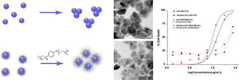 Enhanced Preferential Cytotoxicity Through Surface Modification