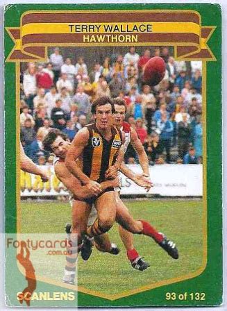 1991-1963 :: 1985 VFL Scanlens :: 1985 VFL-AFL Scanlens 093 Terry ...