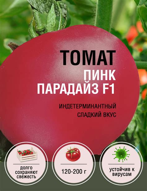 Томаты SAKATA Пинк Парадайз F1 - купить по выгодным ценам в интернет ...