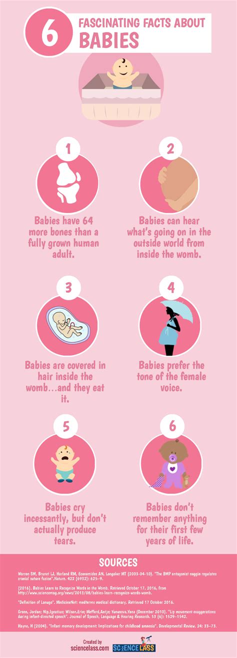 6 Fascinating Baby Facts [infographic] | Science Lass