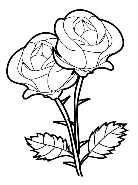 Gambar Bunga Ros Lukisan - 54+ Koleksi Gambar