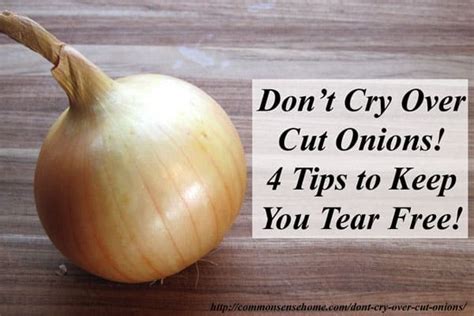 Don T Cry Over Cut Onions