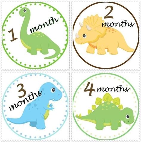 Baby Monthly Stickers Dinosaur Baby Milestone Stickers Baby Month