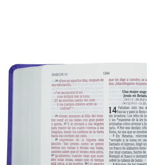 Santa Biblia NVI Letra Grande Tamaño Manual Cuero Ecologico Lila