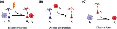 The Role Of Neuroimmune Crosstalk In Maintenance Of Homeostasis And