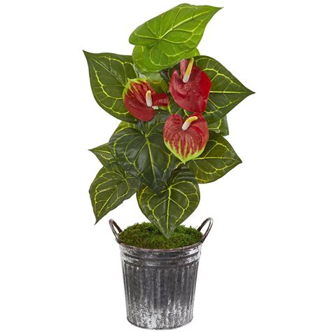 33” Anthurium Artificial Plant In Vintage Bucket Real Touch Nearly