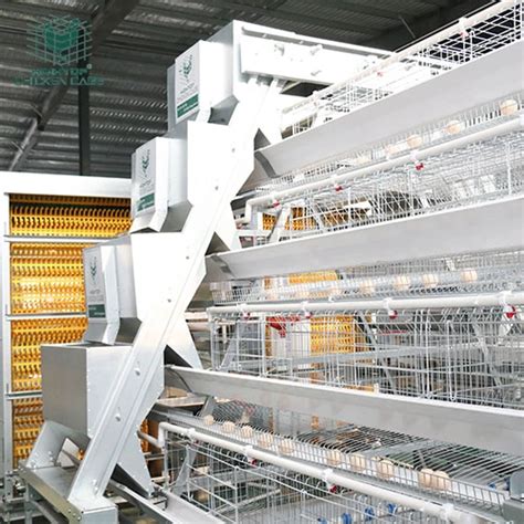 Hightop Design Modern Poultry Farm Automatic Galvanized 3 4 Tiers A