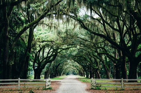 Free Things to do in Savannah, GA | Savannah chat, Travel bucket list