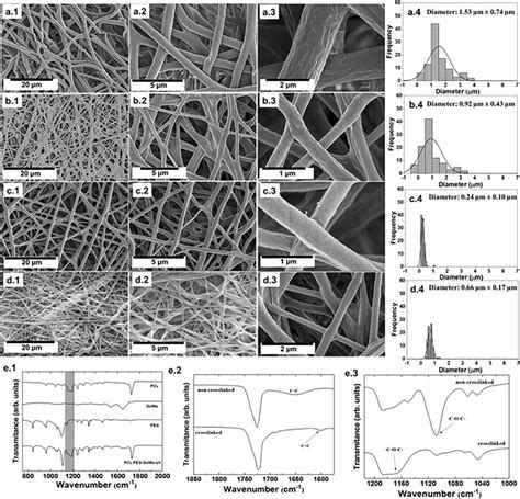 Characterization Of The Produced Scaffolds Scanning Electron