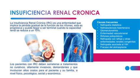 SOLUTION Insuficiencia Renal Cronica Studypool