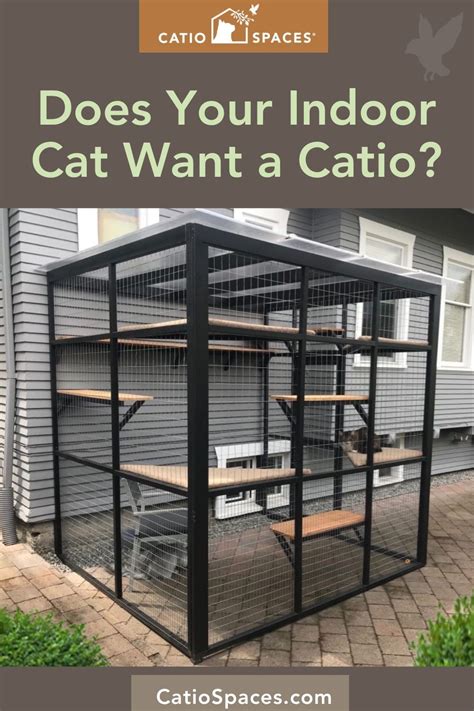 30 Diy Catio Ideas That Are Totally Pawsome Artofit