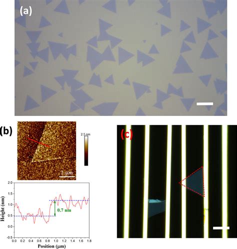 A Optical Image Of As Grown Monolayer Mos2 Flakes On Substrate B