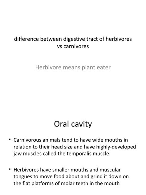 Herbivore Means Plant Eater Difference Between Digestive Tract Of Herbivores Vs Carnivores