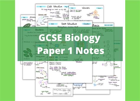 Edexcel GCSE Biology Paper 1 Notes Etsy