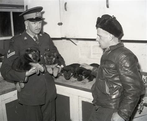 #rcmp dogs on Tumblr