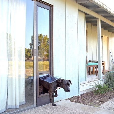 Everything You Need To Know About Sliding Glass Door Insert Doggy Doors - Glass Door Ideas