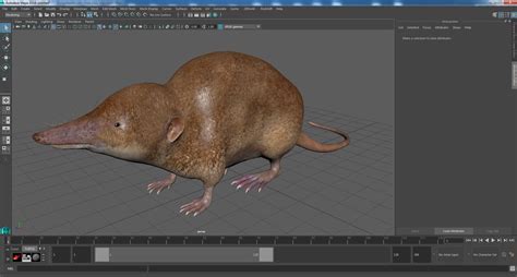 Eulipotyphla Idle Pose Model - TurboSquid 2164132