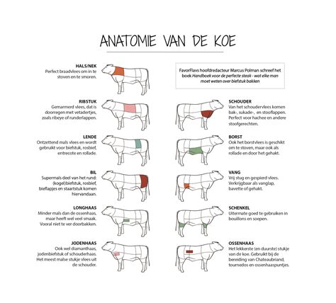 De Delen Van Het Rund FavorFlav