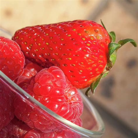 100mm Strawberry Plant - Fragaria ananassa - Bunnings Australia