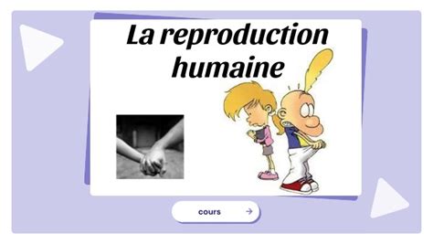 Reproduction Humaine 4ème