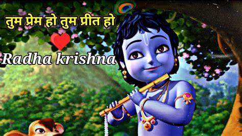 Tum Prem Ho Tum Preet Ho Radhe Slow Lofi Shree Krishna Devotional