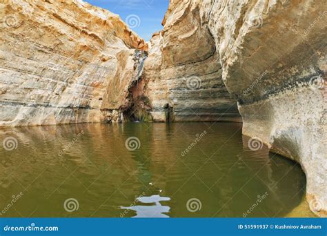 Unique Canyon In The Desert Stock Image Image Of Negev Evdat 51591937