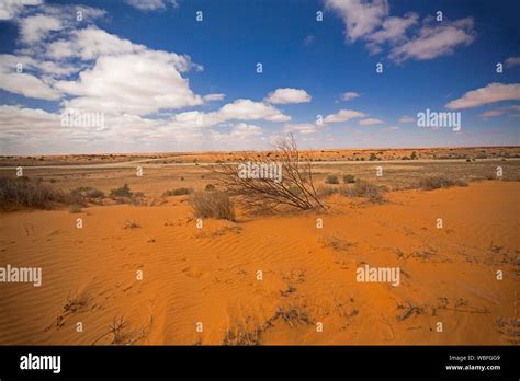 Arid Australian Outback Landscape With Vast Plains And Low Red Sand