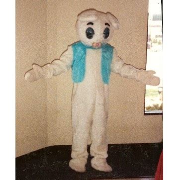 Buy a bunny rabbit costume for your party at All Seasons Rent All