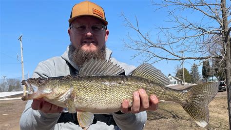 Fishing Big Spring Walleyes In A Wisconsin River Youtube