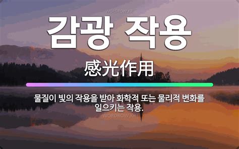 🌟감광 작용 물질이 빛의 작용을 받아 화학적 또는 물리적 변화를 일으키는 작용 표준국어대사전