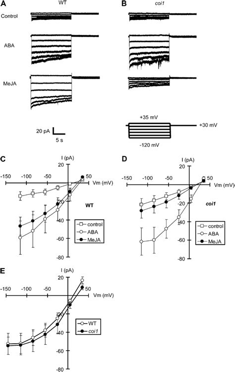 S Type Anion Currents In Wild Type GCPs And Coi1 GCPs A Whole Cell