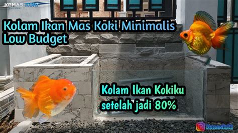 Proses Pembuatan Kolam Ikan Mas Koki YouTube