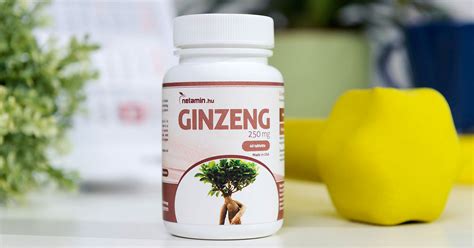 Netamin Ginzeng 250 Mg Tabletta 40 Tabletta