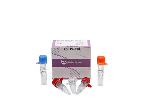 Bioperfectus Mycoplasma Hominis Real Time Pcr Kit