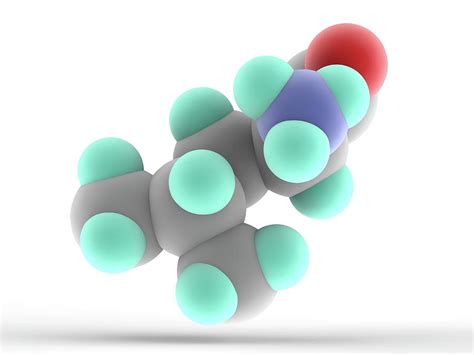 Leucine Molecule Photograph By Alfred Pasieka Science Photo Library