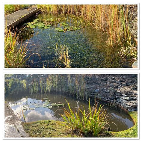 Gallery | Sussex Pond Doctor