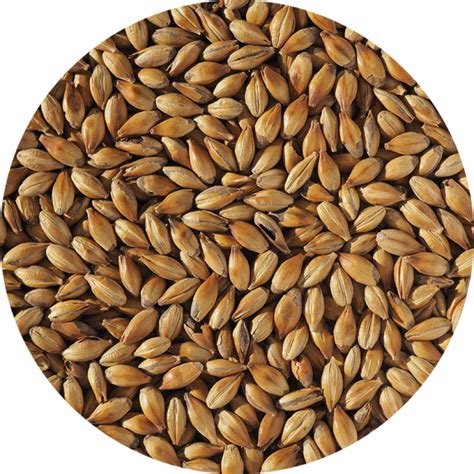 Table Beer Recipe From Crisp Malt British Extra Pale Malt Dextrin