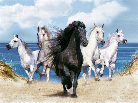 Galloping Horse Wallpapers - Top Free Galloping Horse Backgrounds - WallpaperAccess