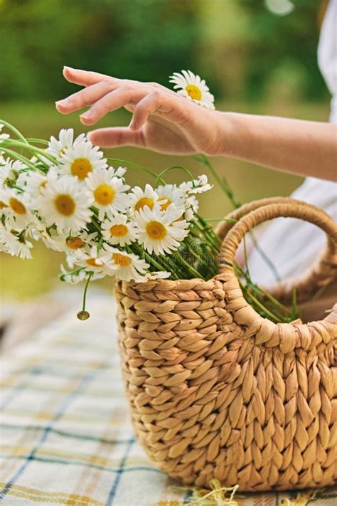 Close Up Photo Of A Woman X S Hands With A Wicker Bag Full Of