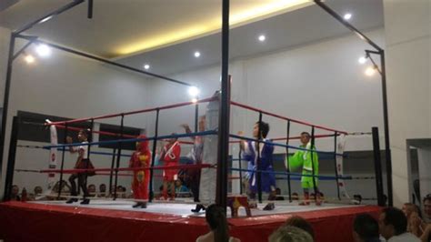 Midget Boxing In Bali Y Sports Bar Legian Traveller Reviews