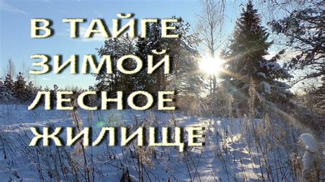 В тайге зимой. Таежная жизнь, таежная изба. - YouTube