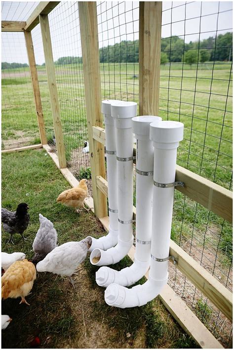 Pvc Diy Chicken Feeders Pvc Chicken Feeder Chicken Diy Chicken Feeders