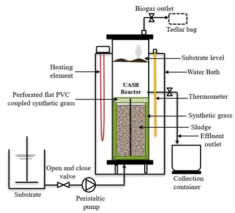 Water Free Full Text Effect Of Hydraulic Retention Time On The